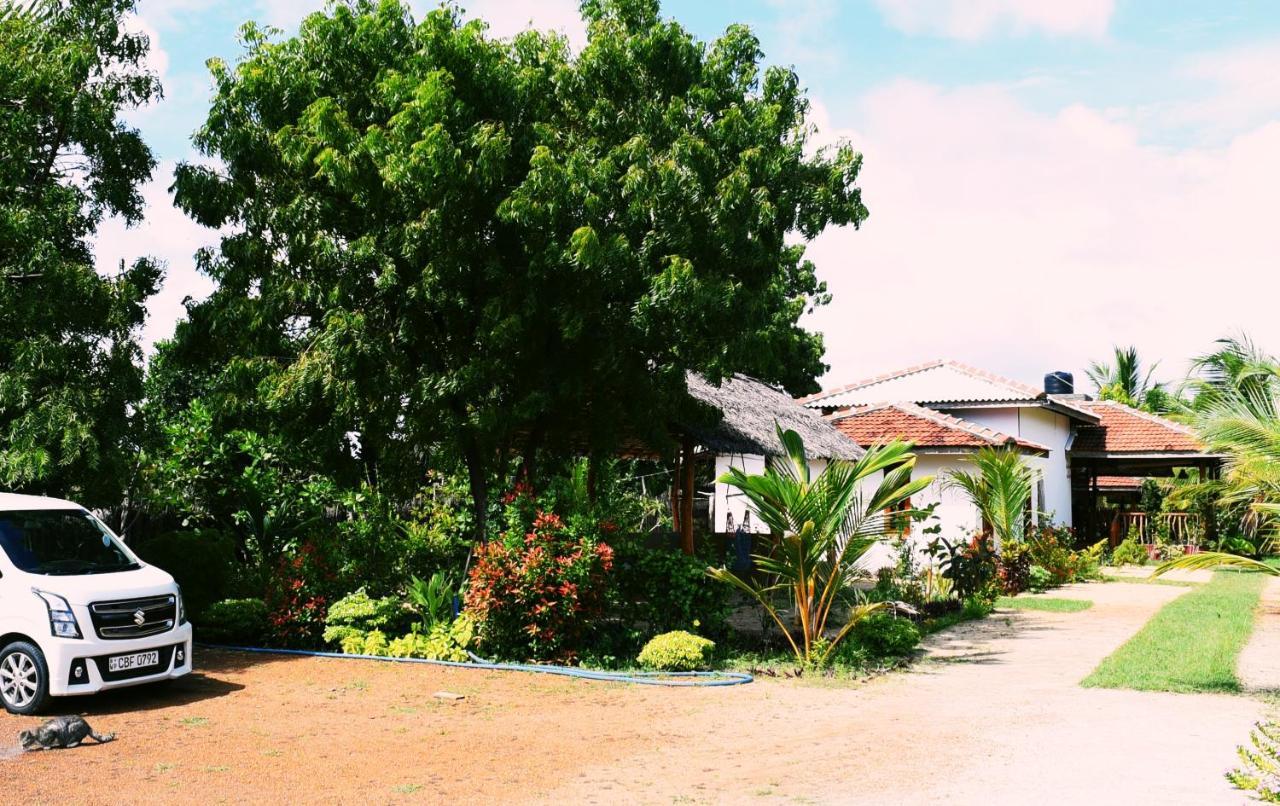 Prime Surfers Bungalow Arugam Bay Εξωτερικό φωτογραφία