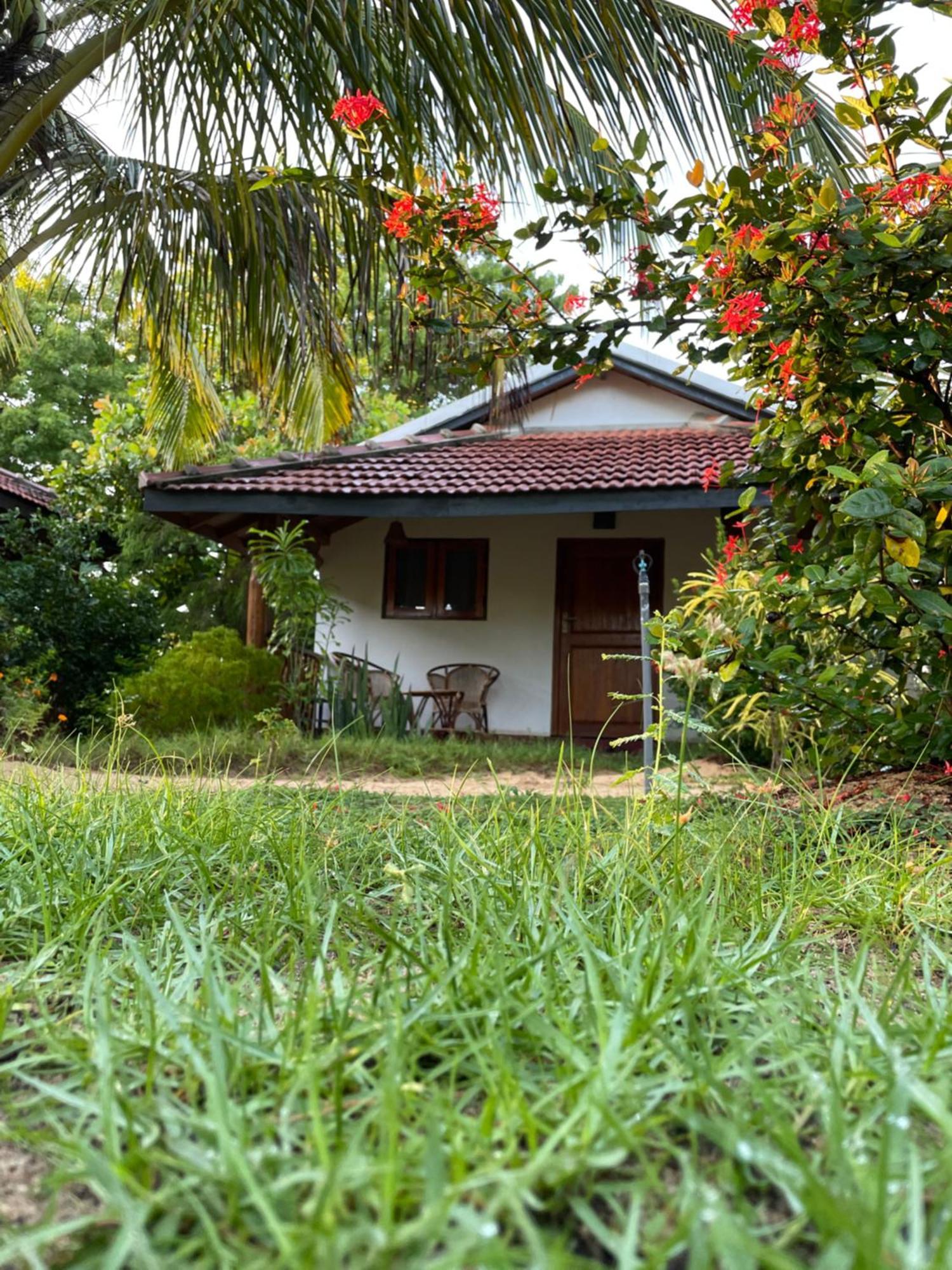 Prime Surfers Bungalow Arugam Bay Εξωτερικό φωτογραφία